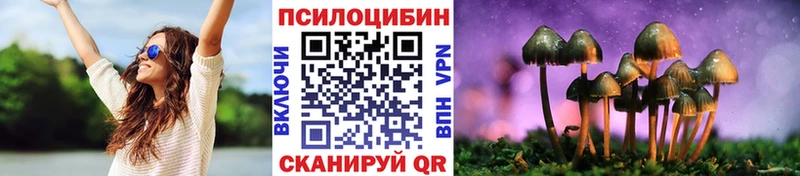 цены наркотик  Балашиха  Галлюциногенные грибы Cubensis 