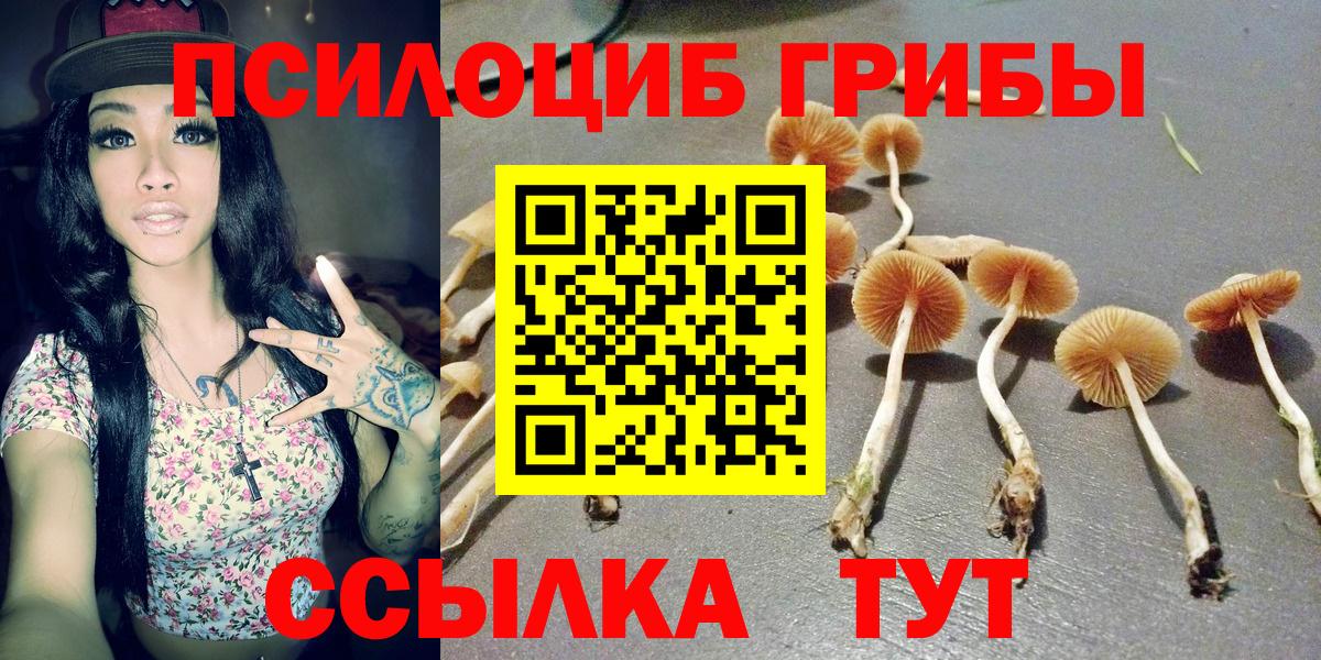 Галлюциногенные грибы мицелий Балашиха