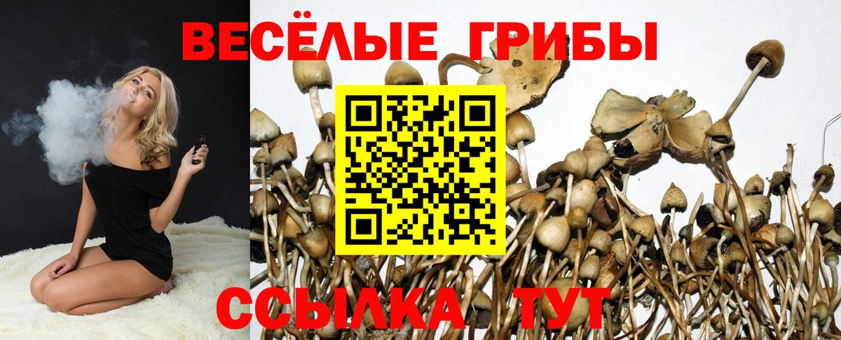 Галлюциногенные грибы ЛСД  Галлюциногенные грибы MAGIC MUSHROOMS  Вход с VPN  Балашиха 